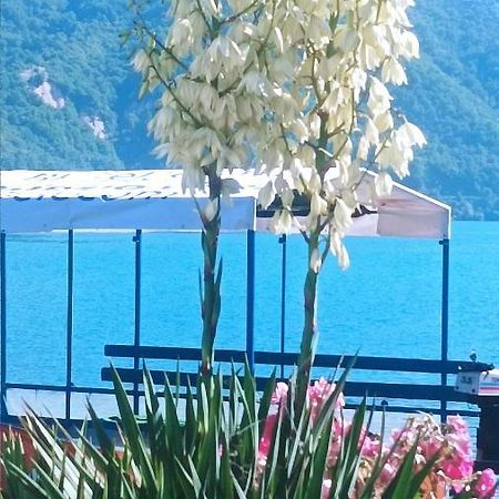 Dina Apartman Jablanicko Jezero كونييتش المظهر الخارجي الصورة