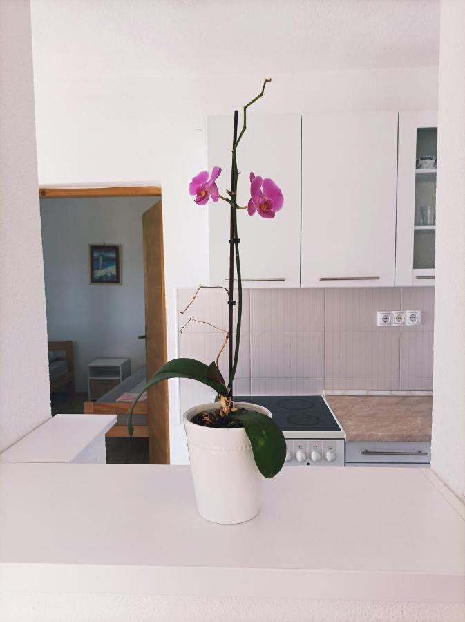 Dina Apartman Jablanicko Jezero كونييتش المظهر الخارجي الصورة