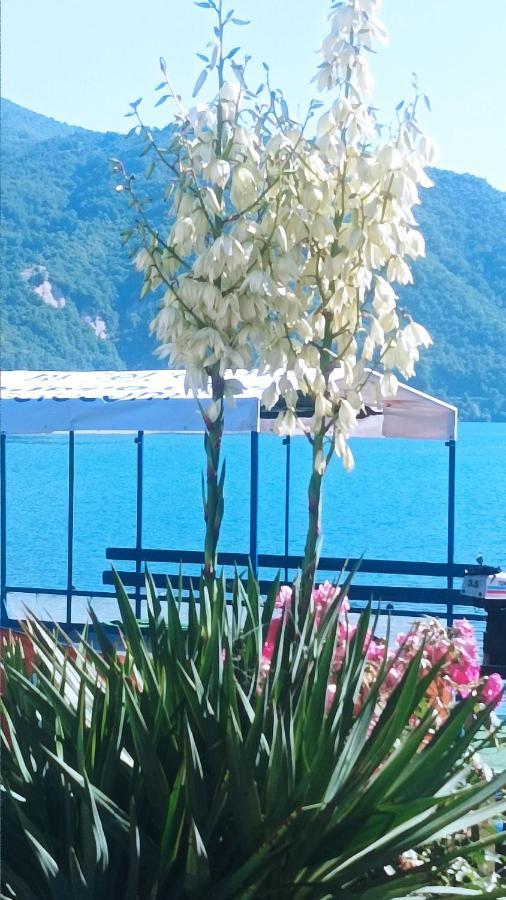 Dina Apartman Jablanicko Jezero كونييتش المظهر الخارجي الصورة
