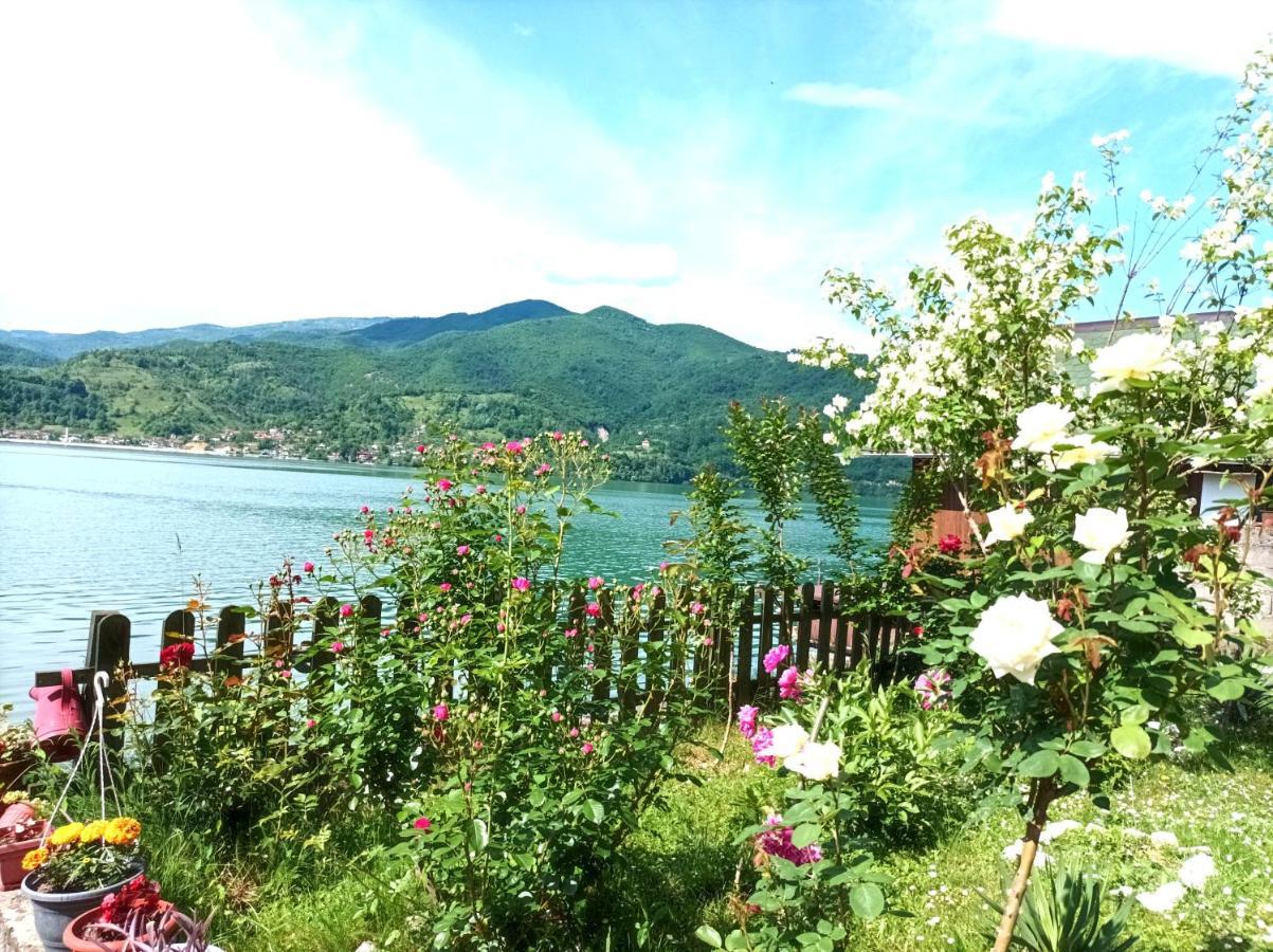 Dina Apartman Jablanicko Jezero كونييتش المظهر الخارجي الصورة