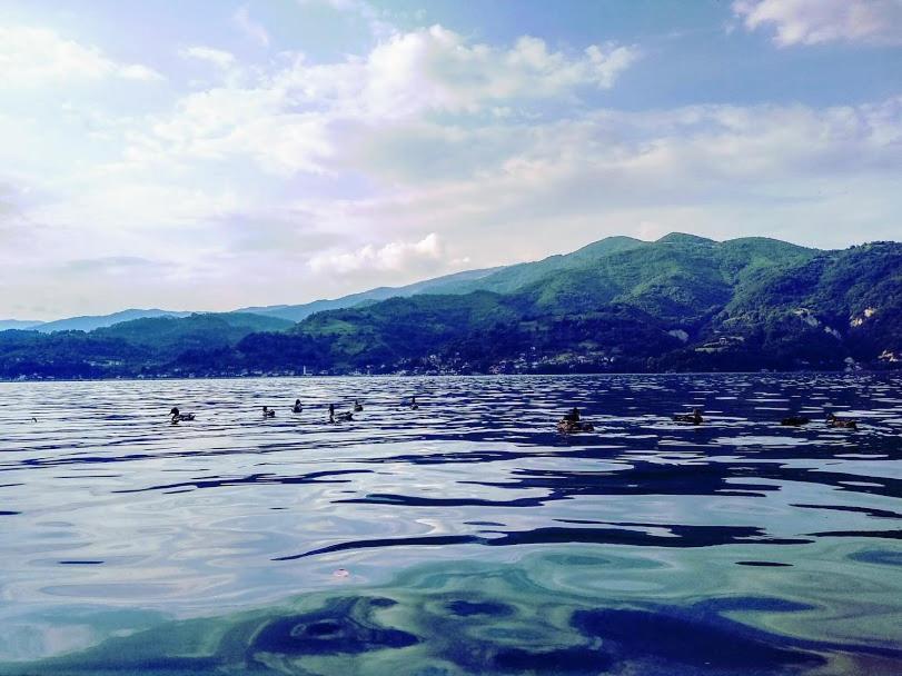 Dina Apartman Jablanicko Jezero كونييتش المظهر الخارجي الصورة